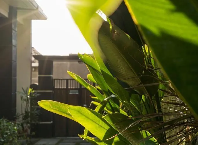 Kubu Lestari サヌール